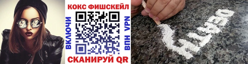 Купить закладки  Шуя  Cocaine Fish Scale 