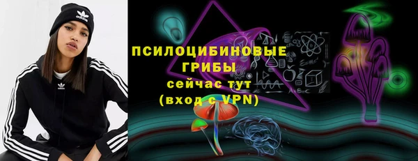 тгк Пересвет