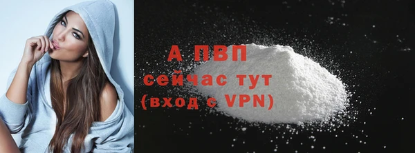 тгк Пересвет